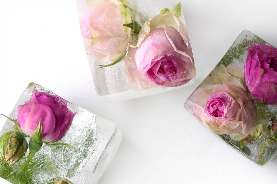 Кубики льда с розами